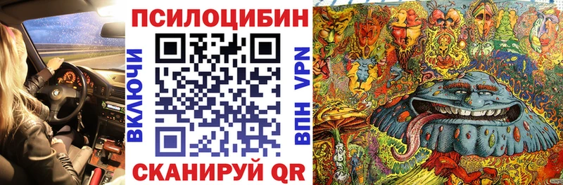 Псилоцибиновые грибы прущие грибы KRAKEN ONION Новоржев